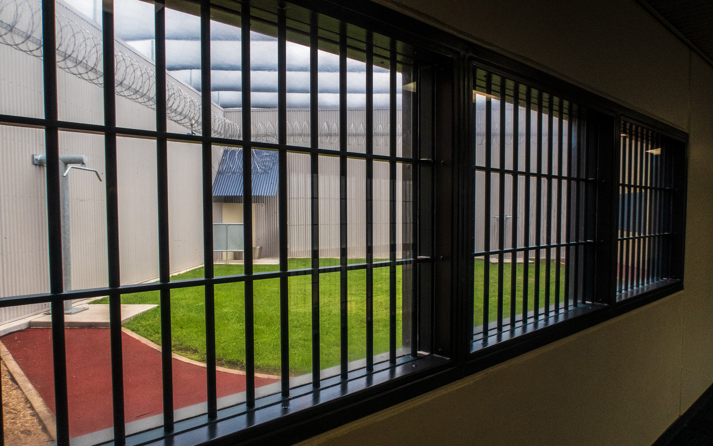 Green yard area as seen through grilled window bars.