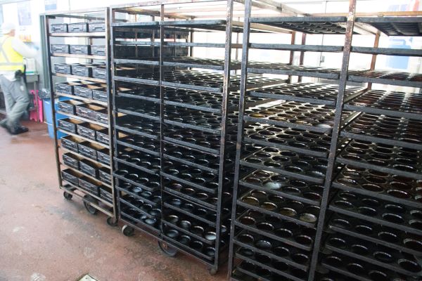 Metal shelving holding scores of empty muffin tins