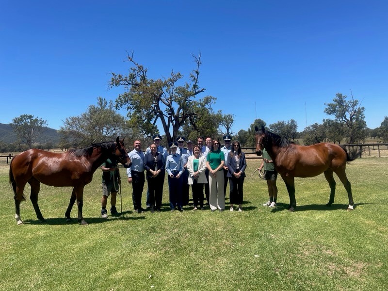 Group under tree with horses