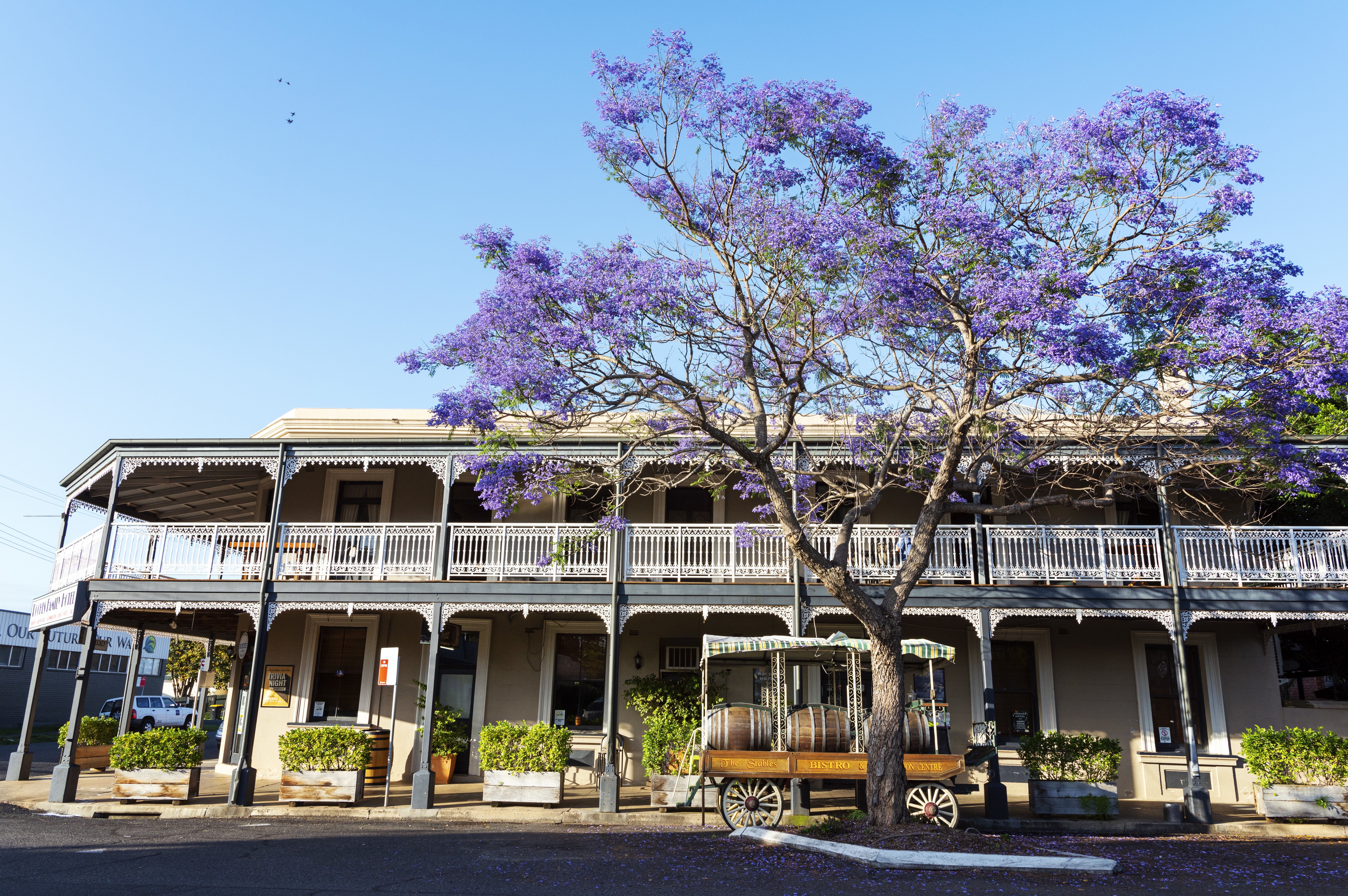 A photo of the exterior of Roches Family Hotel