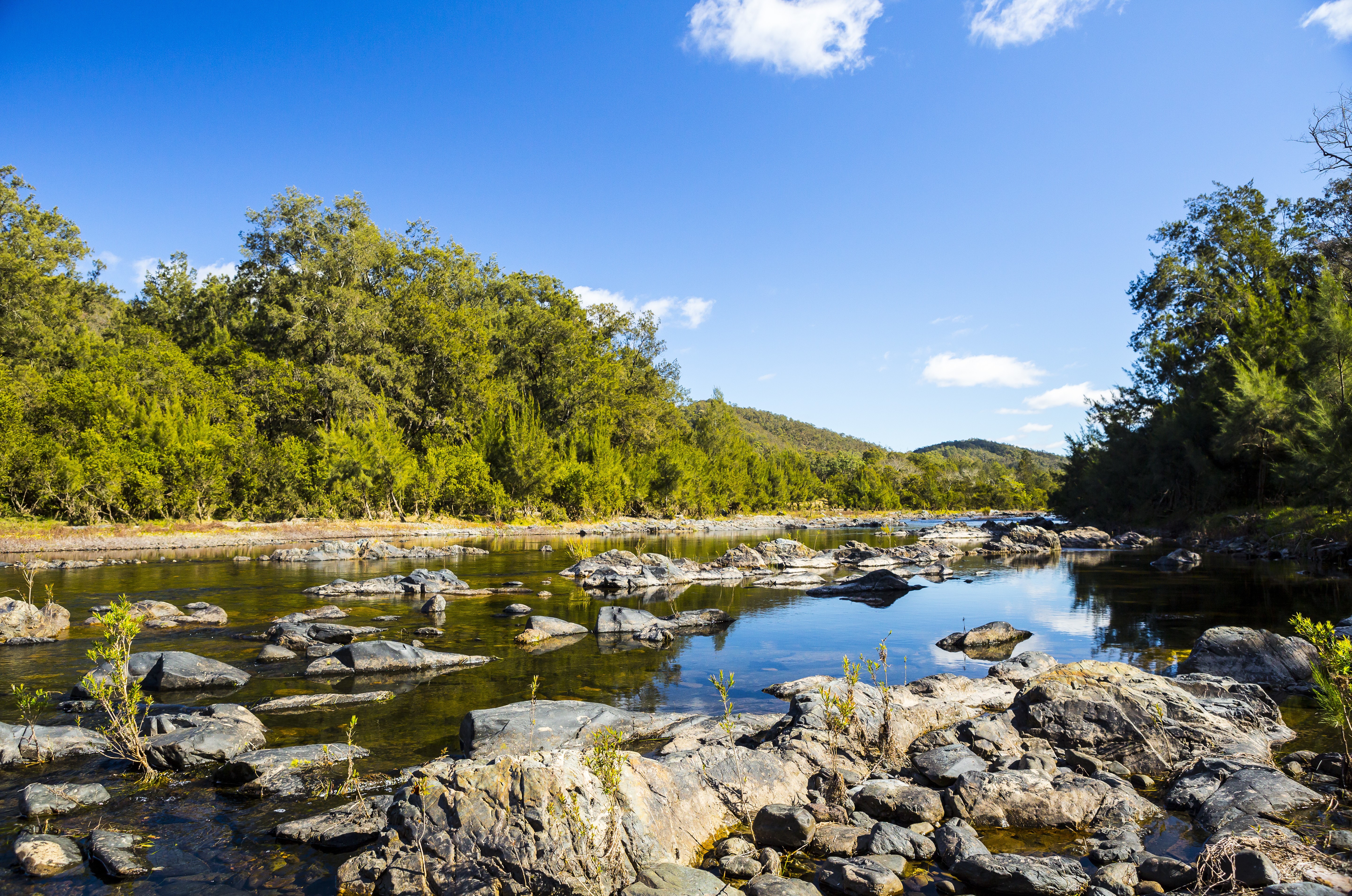 An image of a river with surrounding trees in the New England area
