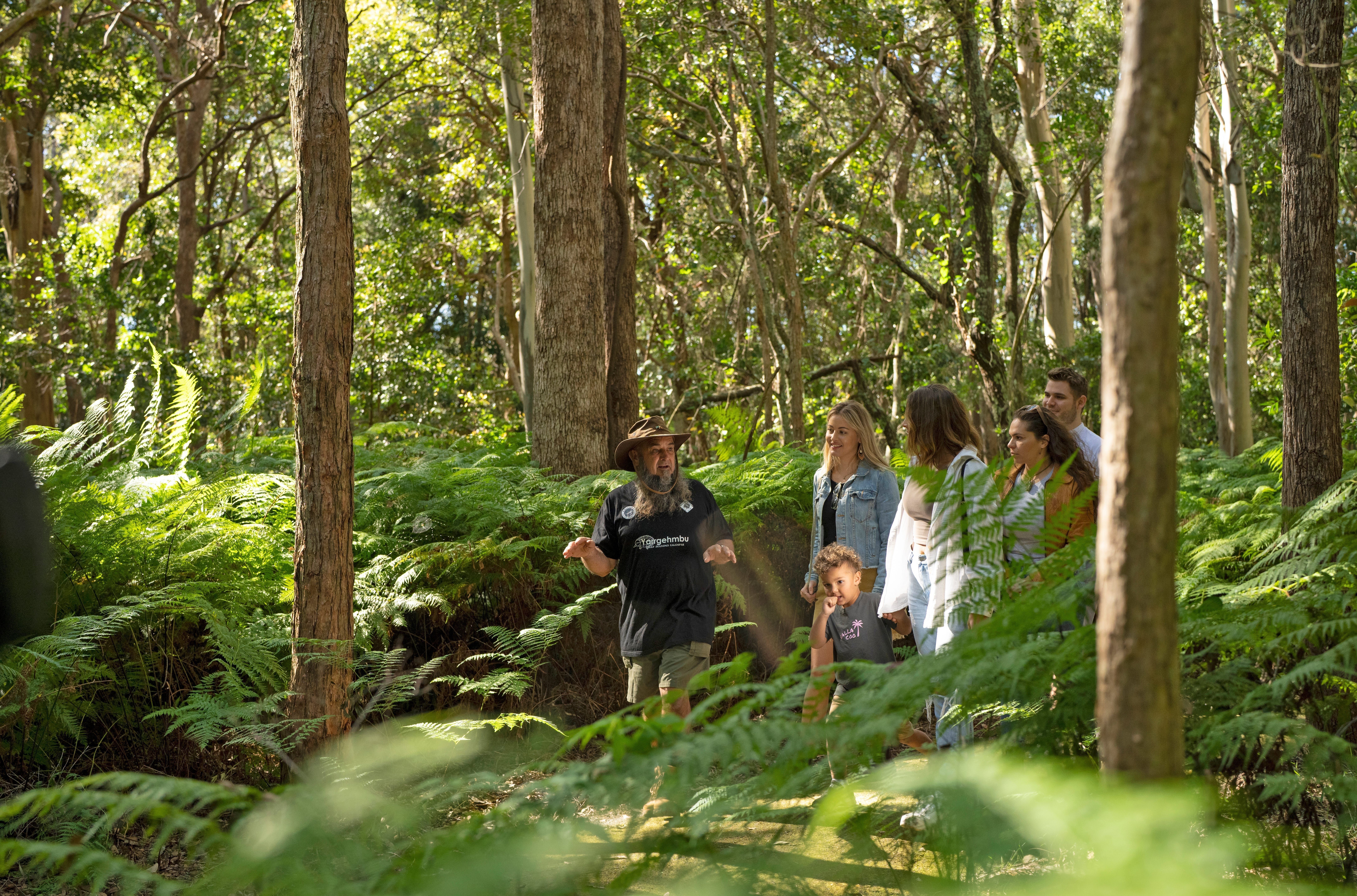 A photo of Tweed Heads Escapes bush tour