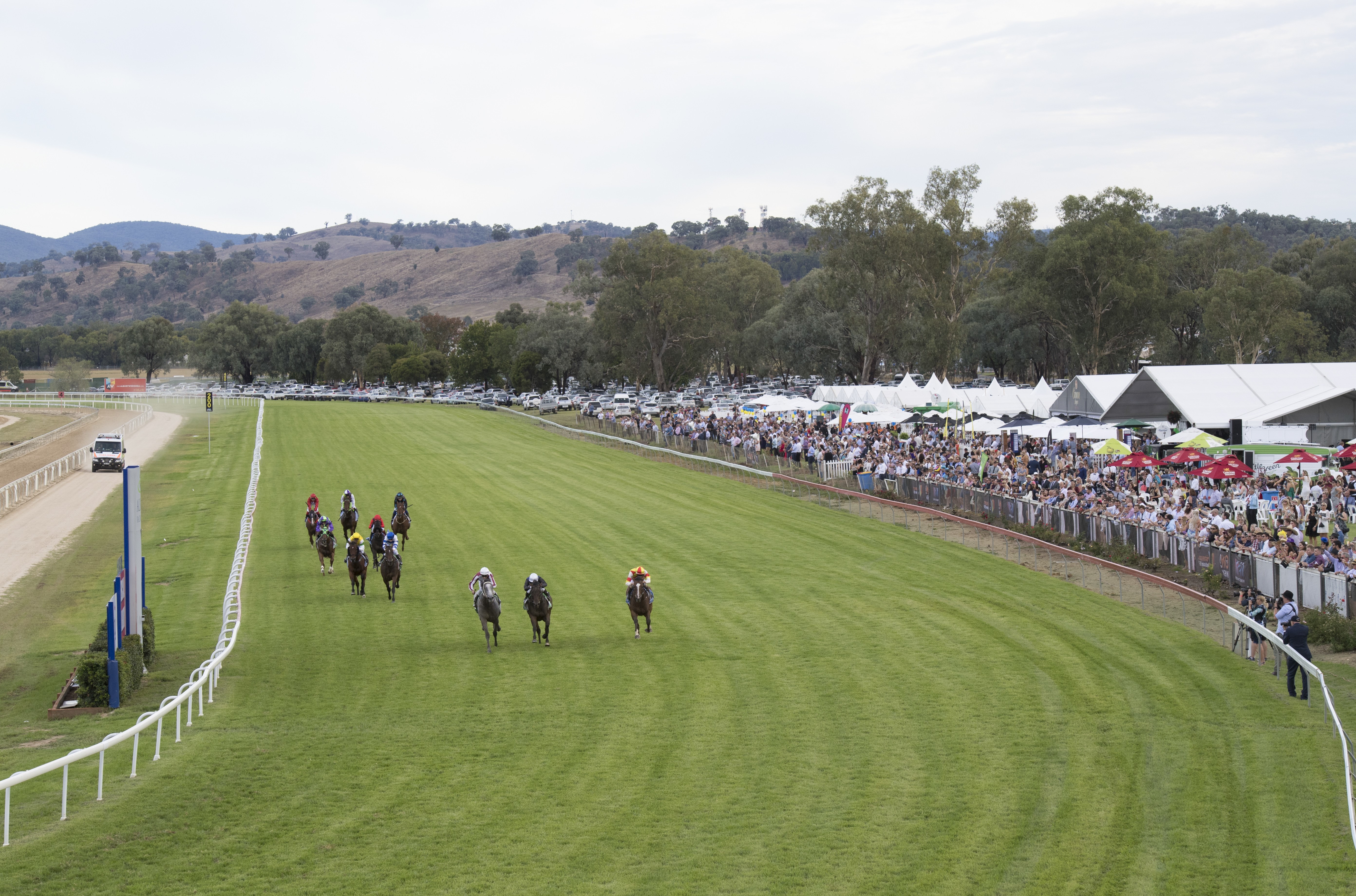 A photo of horses racing at the Albury Gold Cup 