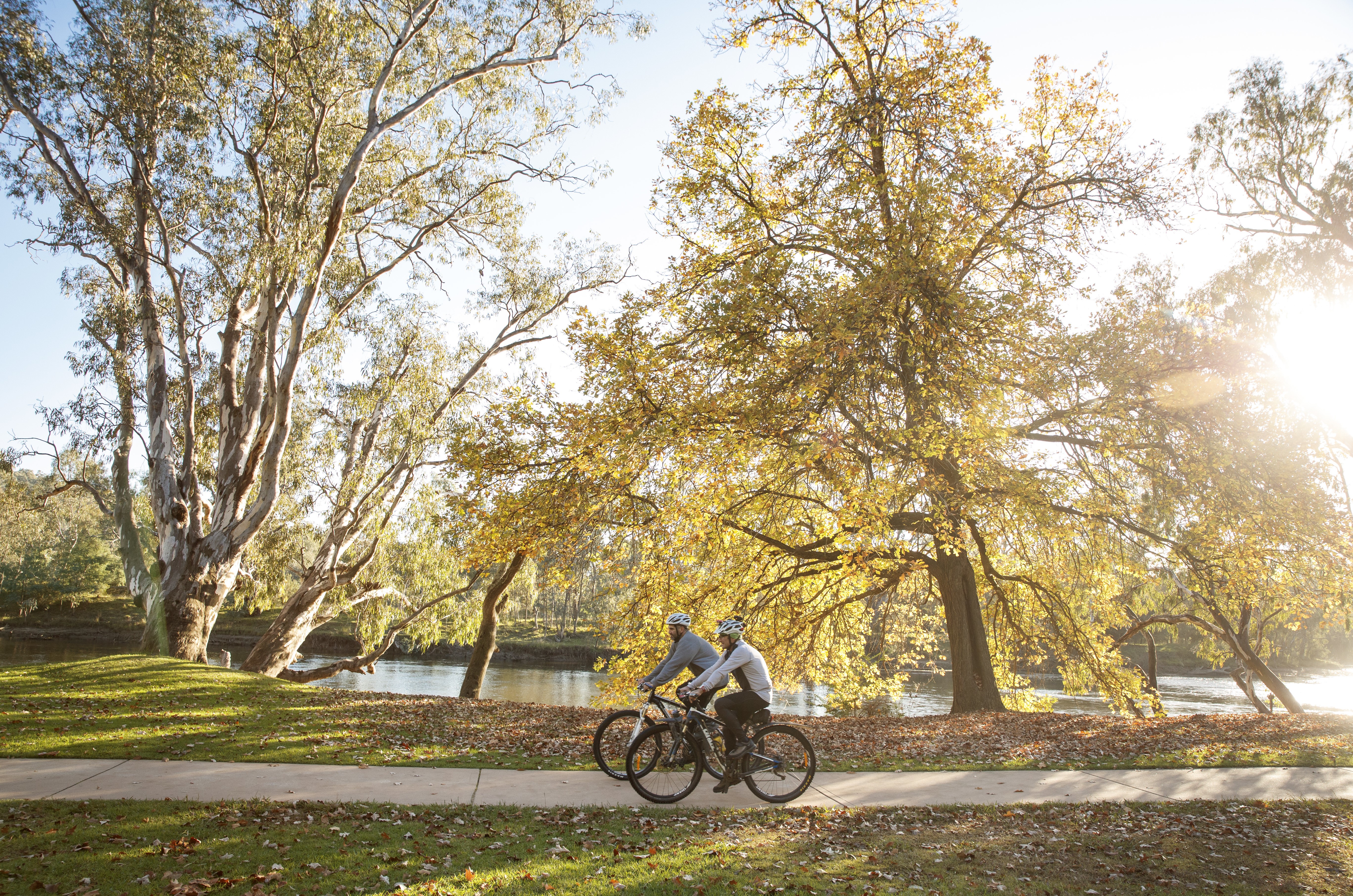 Noreuil Park Foreshore during autumn