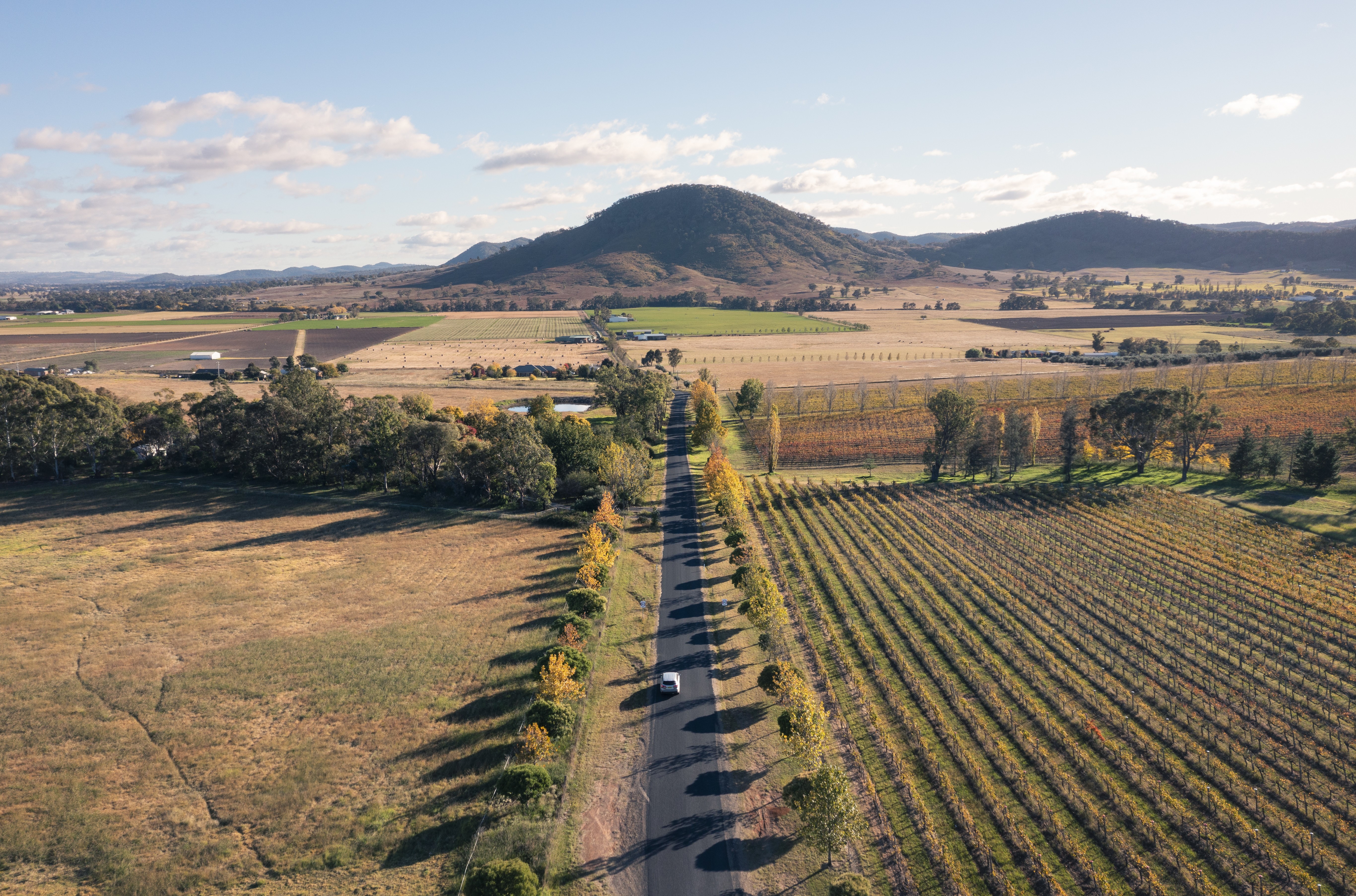 An aerial photo of a country drive in Mudgee