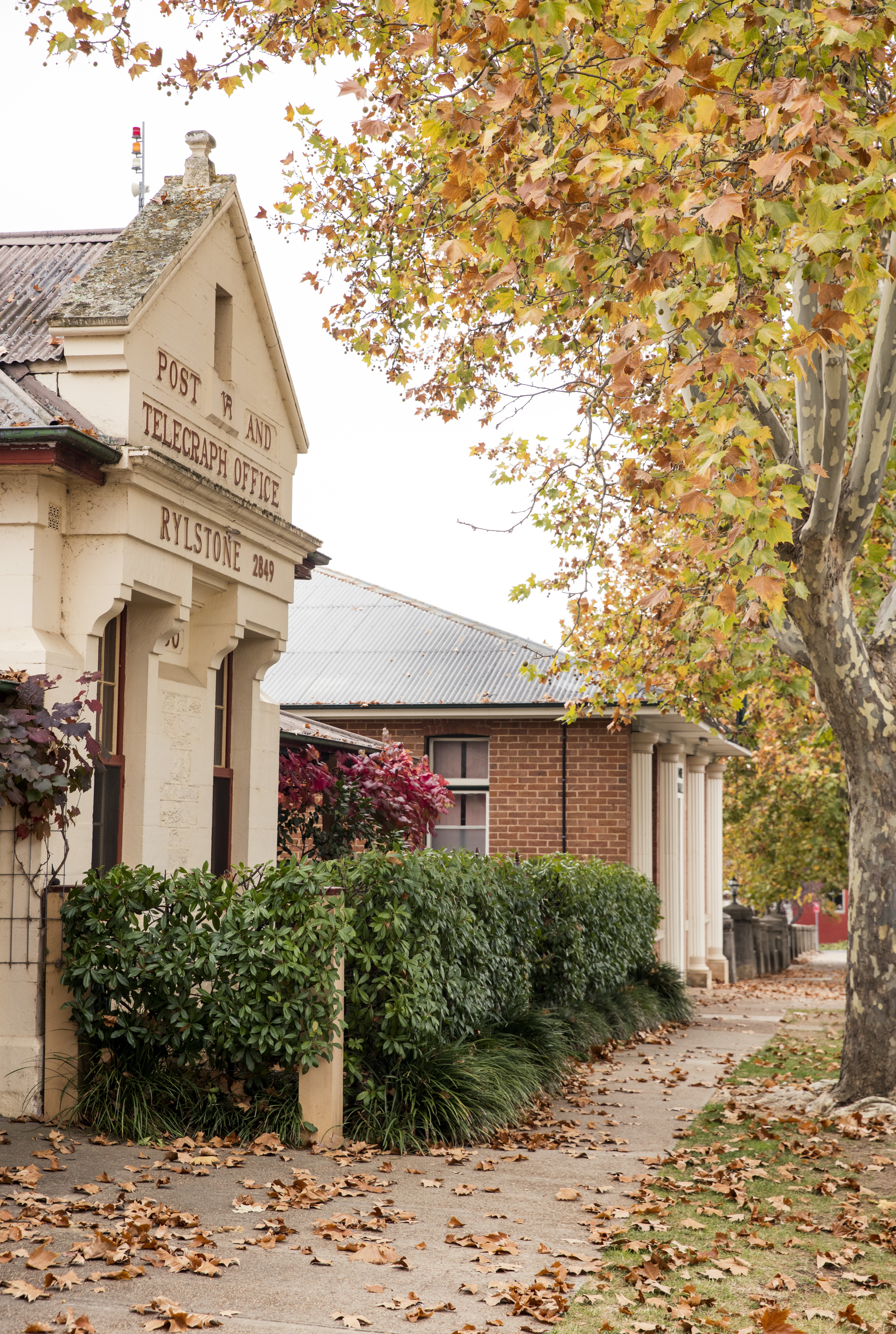 A photo of a streetscape in Rylstone in Autumn