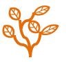 Three branches: two with two leaves each and the third with one leaf all in orange colour.