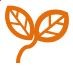 Two leaves and a small branch design in orange colour