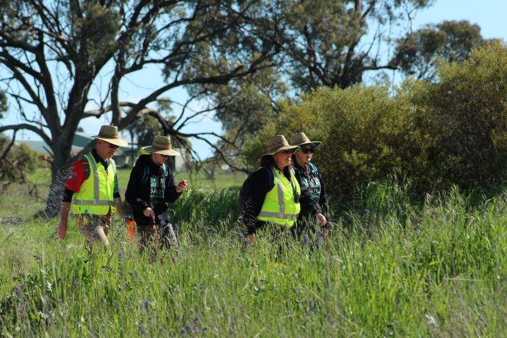 Four people in hi visibility clothing walking out bush