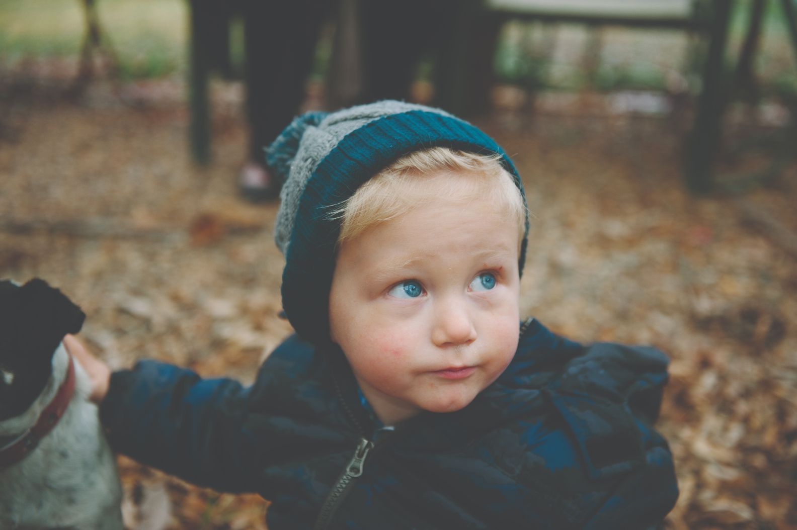 A picture of a young boy